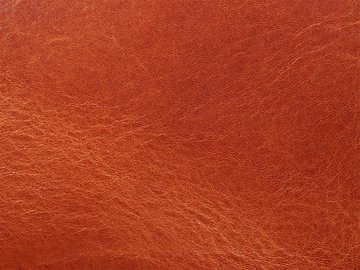 Примавера коньяк 06