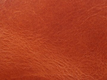 Primavera conhaque 06