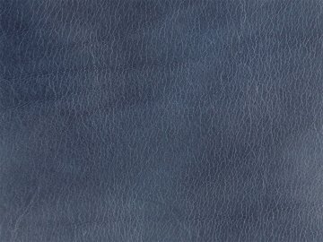 primavera azul-marinho 04