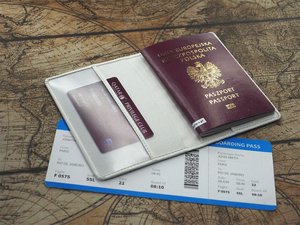 Passport case 209119
